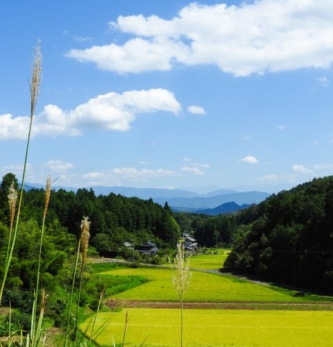 オトノキヲク