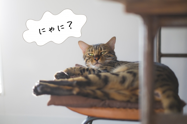 届けたいのは言葉と「あれ」